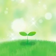 まるの画像