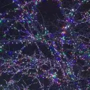 hatの画像