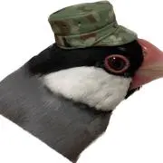 文隊鳥     ※プロフ必読