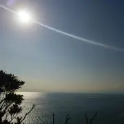 ゆき