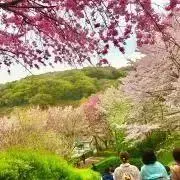 もちの画像