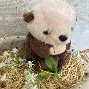 ふうみの画像