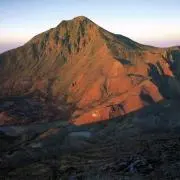 Jibikiの画像