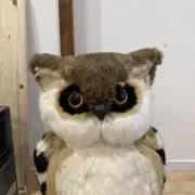 kazuの画像