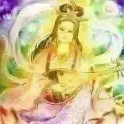 SARASの画像