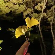 ￼Suの画像
