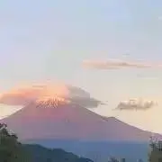 ゆたの画像