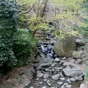 たなの画像