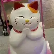 MARIRIの画像