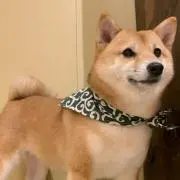 Image of na