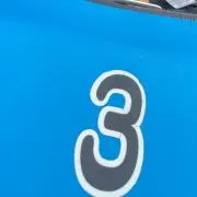 アリ