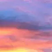 もちもちの木の画像