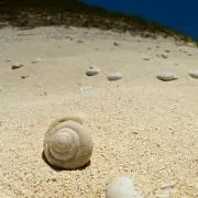 硝子／プロフご覧下さいの画像