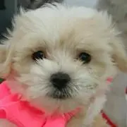 ＊qoo＊
