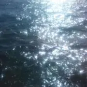 이の画像