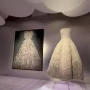 Sの画像