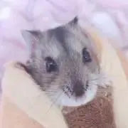 むぎぃむぎぃ76☺︎♪の画像