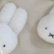 Image of あざらし