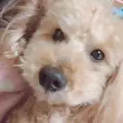 えるの画像
