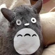ユウ