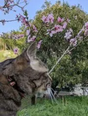 カズ✦おまとめ（値引有）・即購入OK✨️