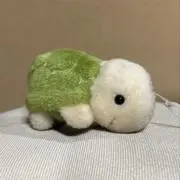 かめちゅうきち