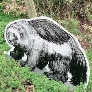 じろうの画像