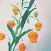 aaaaaの画像