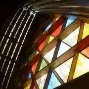 とらの画像
