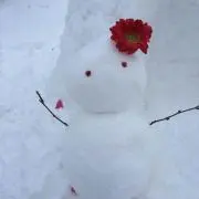 ハーコの画像