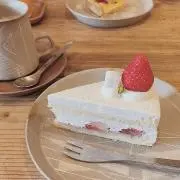 ちょこの画像