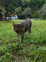 ろっぴーの画像