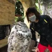 さっつん