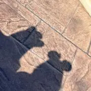 まめの画像