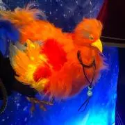 しんりの画像