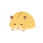 Ha8の画像