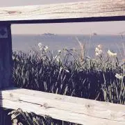 りりぃの画像