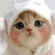 ゆかりん