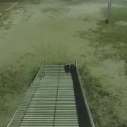 すーの画像