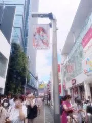 kanarinu