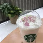 sakura*の画像