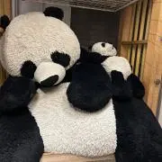 ぐの画像