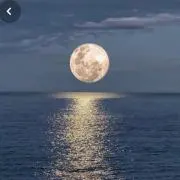 물muluの画像