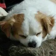あやか【即購入OK!!】の画像