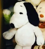 まめまめの画像