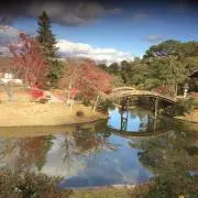 milram1965の画像