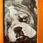 Hiーの画像