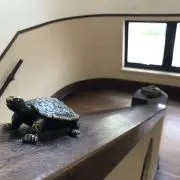 ろうの画像
