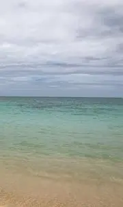 みきみき