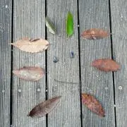 やちよの画像